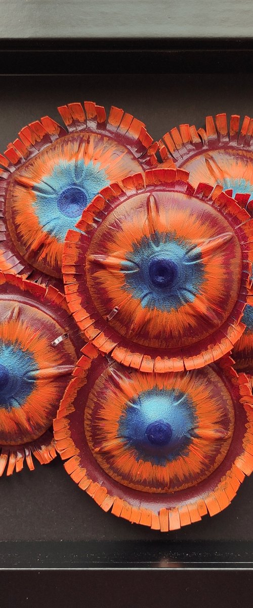 Zoanthids Colony -2 by Swapna Namboodiri