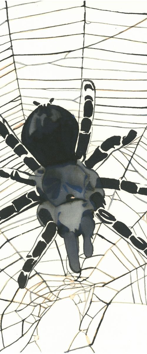 Spider I Animal Drawing by Ricardo Machado