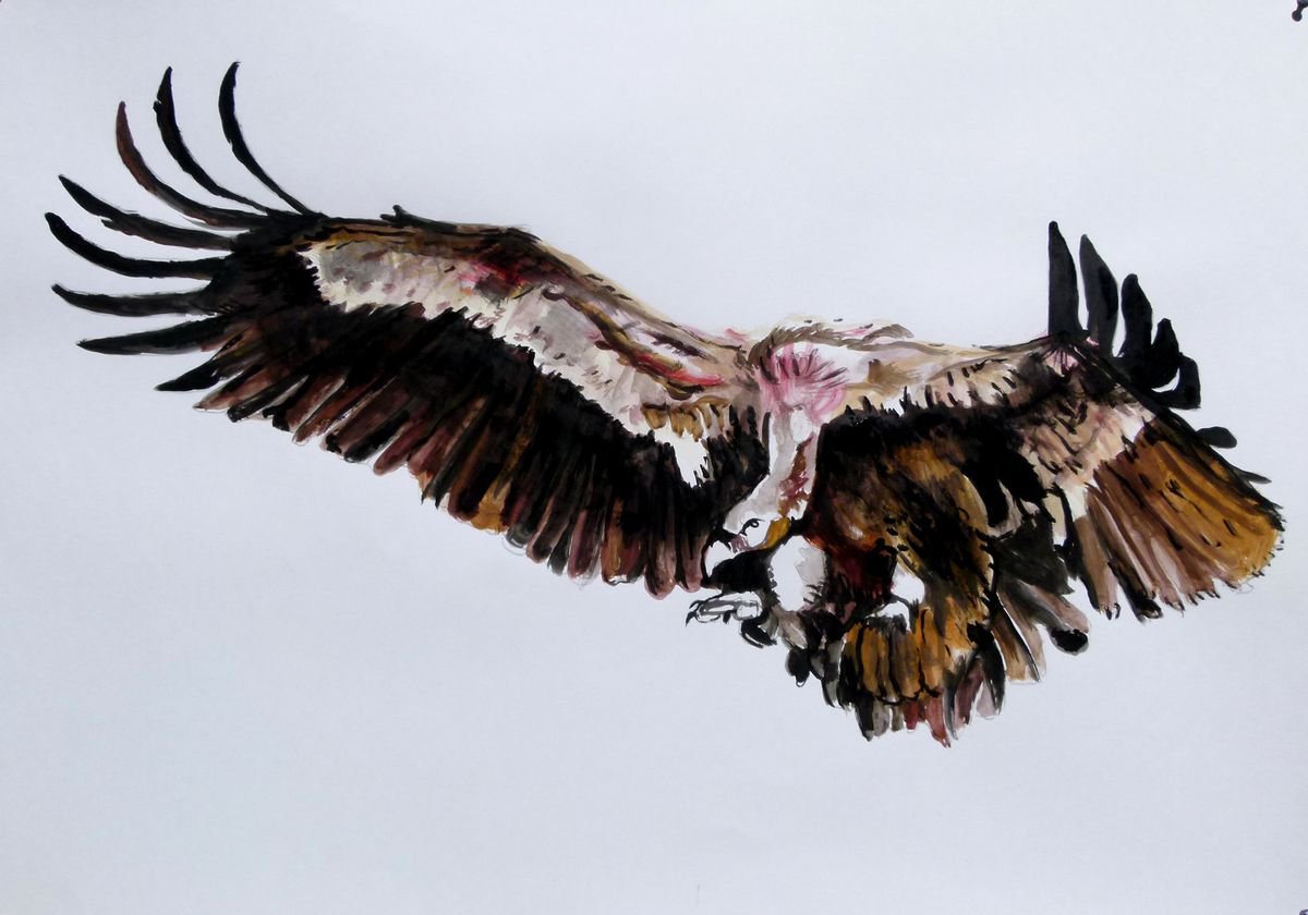 Vulture by Soso Kumsiashvili