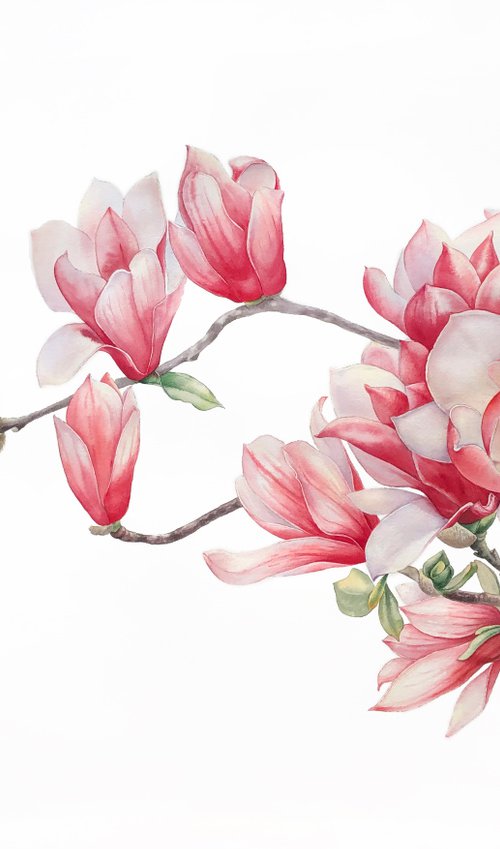 Tender magnolia. Original watercolor artwork. by Nataliia Kupchyk