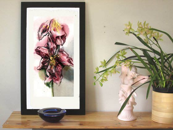 pink oncidium orchid watercolor