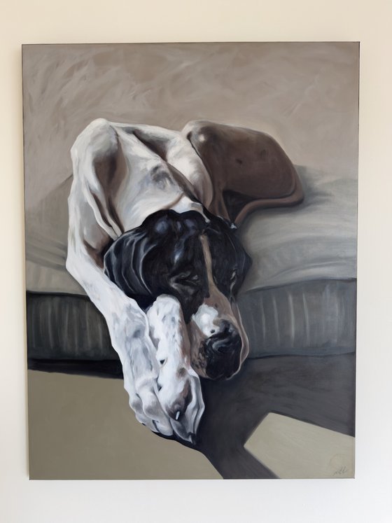 Sleeping Dane