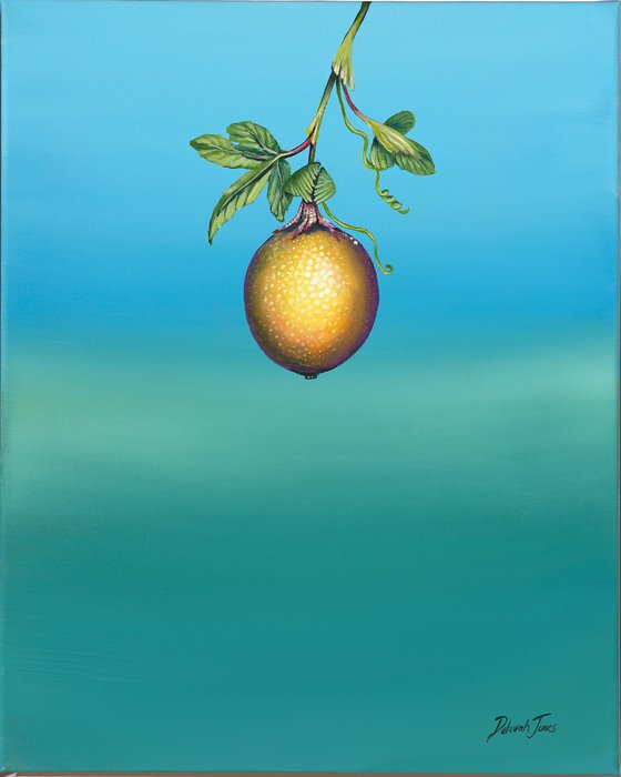 O Maracjua-Passion Fruit Mini2