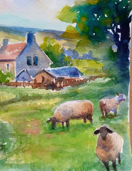 Scottish landscape with sheep