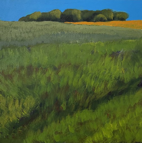 Fields and trees, Fife