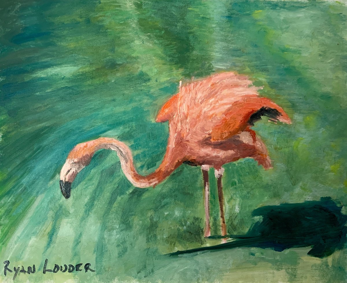 Flamingo Grazing by Ryan  Louder