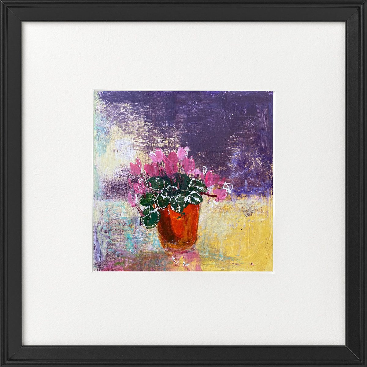 Mum’s Cyclamen in Flower pot pink & yellow tones framed by Teresa Tanner