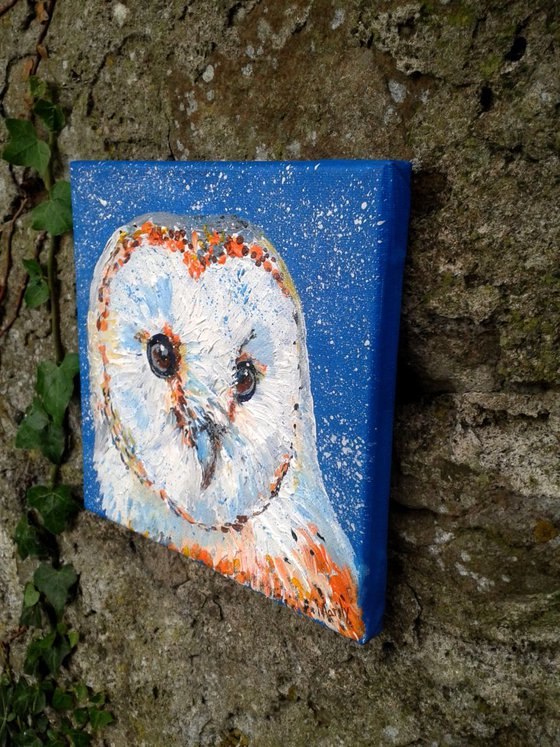 "'Barn Owl 2"