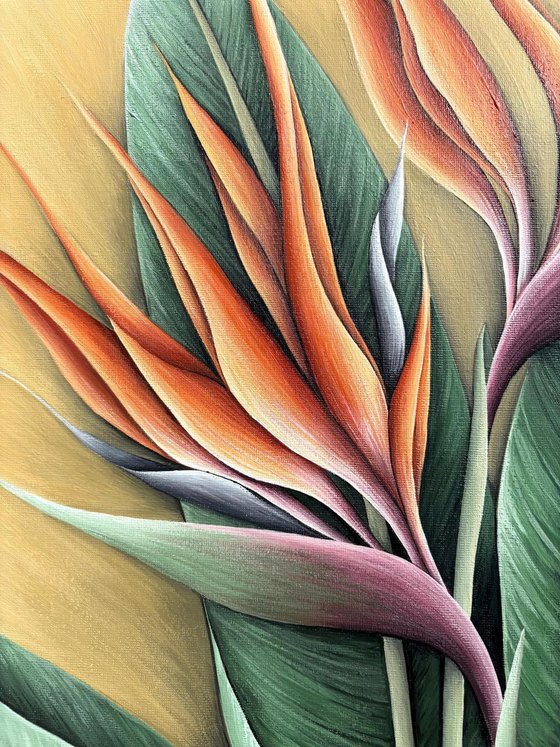 TROPICAL ORANGE STRELITZIA