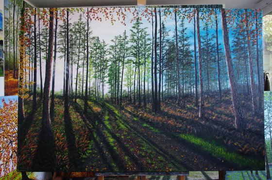 Startling Afternoon shadows.