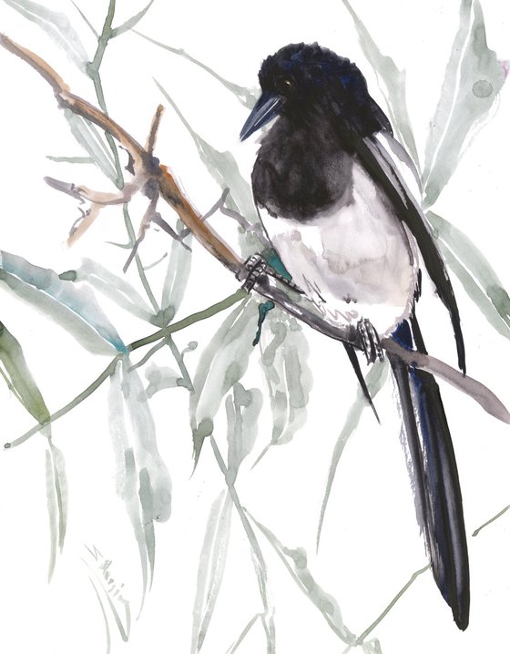 Magpie