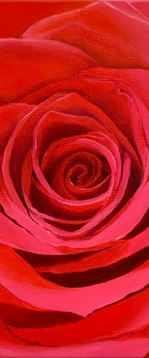 True Love. Rose by Alla Kallass