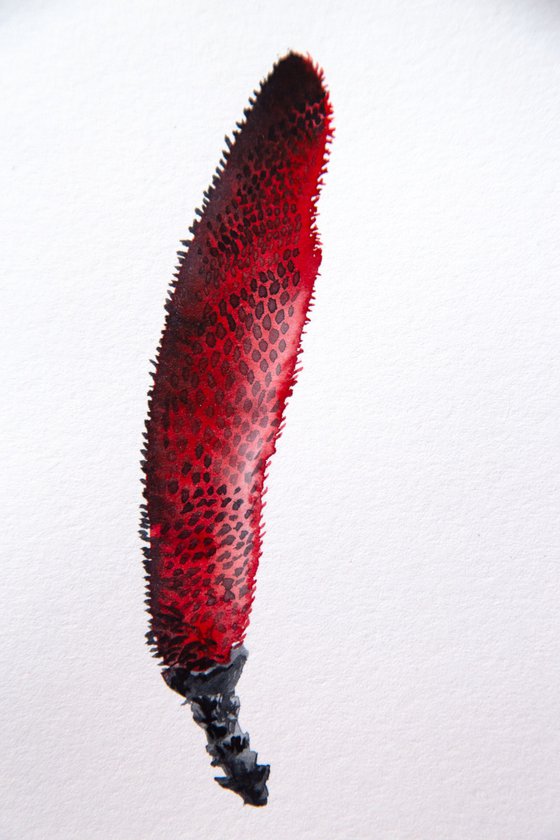 cone