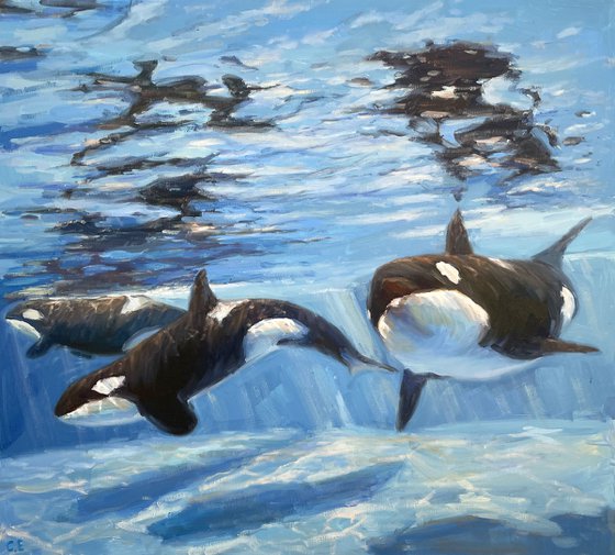 "Killer whales"