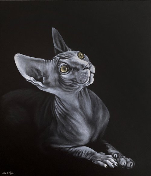 Sphynx portrait by Olga Tsvetkova