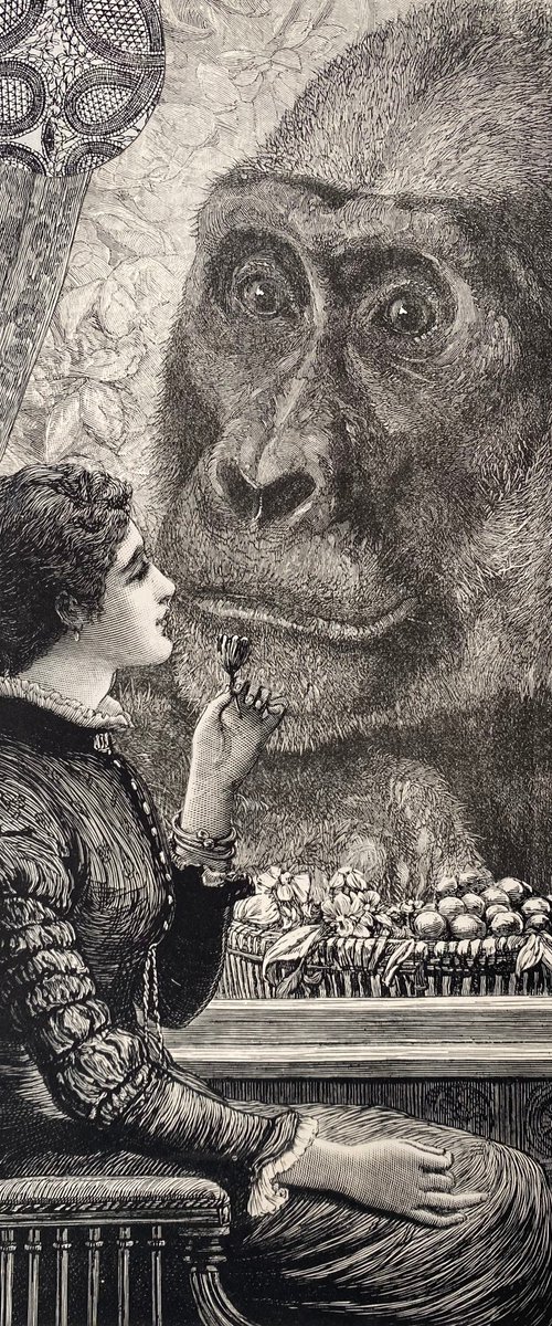 Ape love and Mary by Tudor Evans