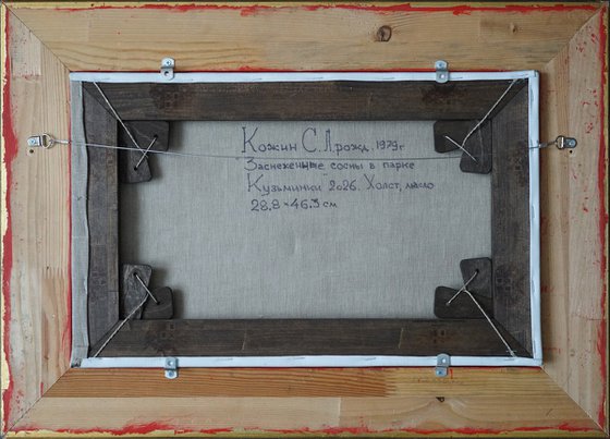 Snow-covered pine trees in Kuzminki Park