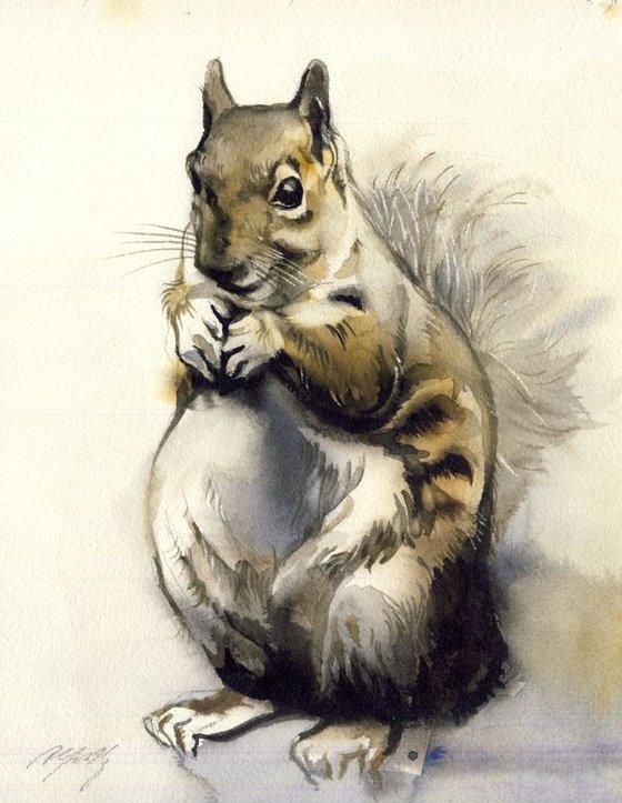 Squirrel watercolor