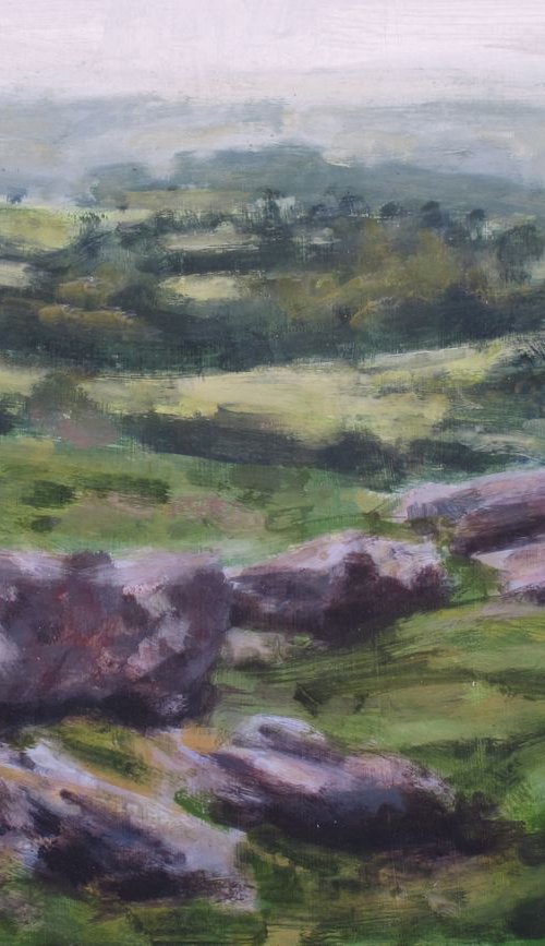 Dartmoor - Around Haytor No3 by Hugo Lines