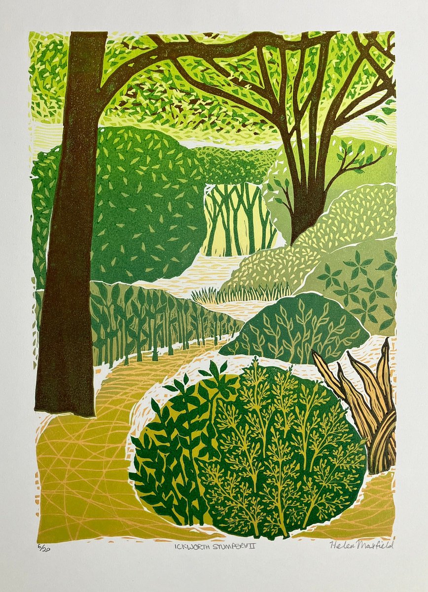 Landscape Linocut By Helen Maxfield, 12 X 16, Ickworth Stumpery Ii, Original Artwork