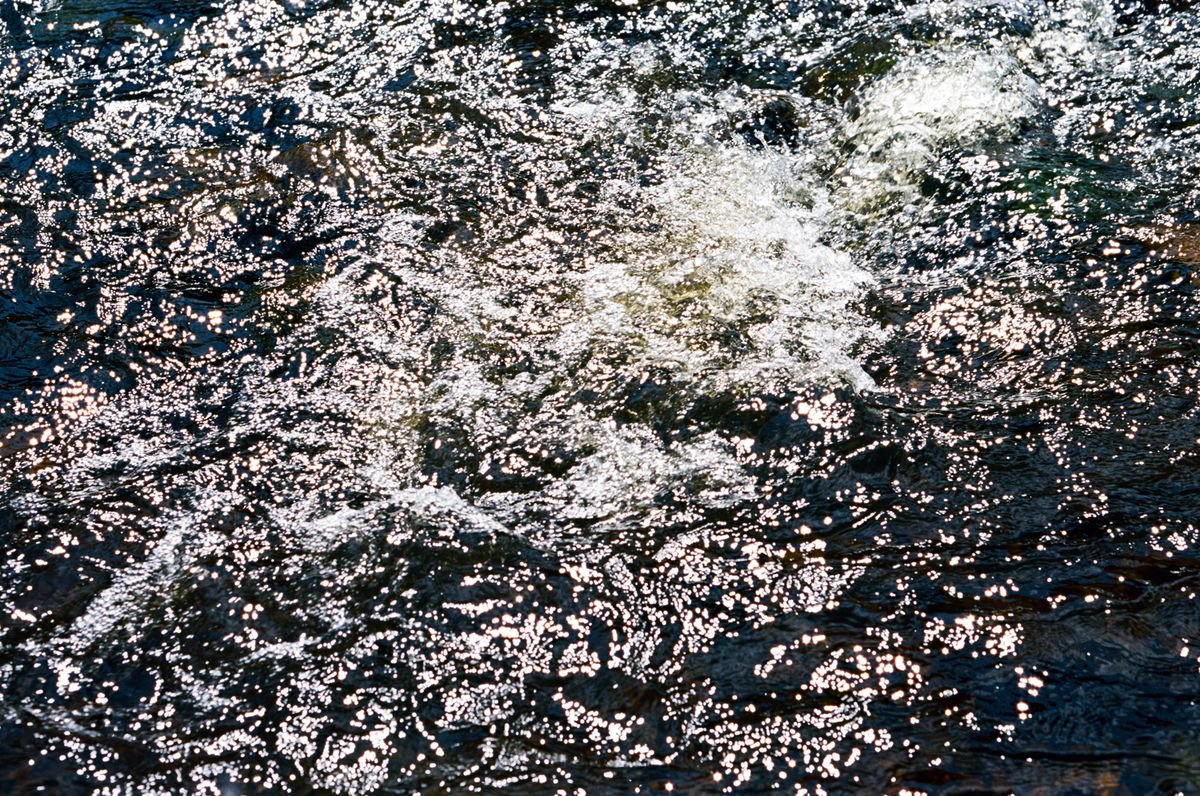 Organic Abstract Photograph By Justice Hyde, 36 X 24", Water 7 - Unmounted, Original Artwork