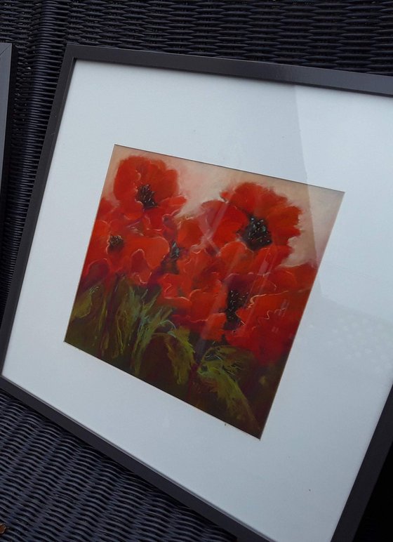 Red Poppies (framed)