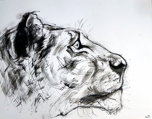 LIONNE, EXPRESSIVE INK drawing by Lionel Le Jeune