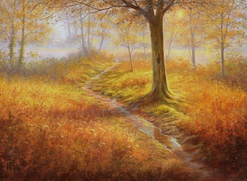 Autumn Path by Paul  Higgins