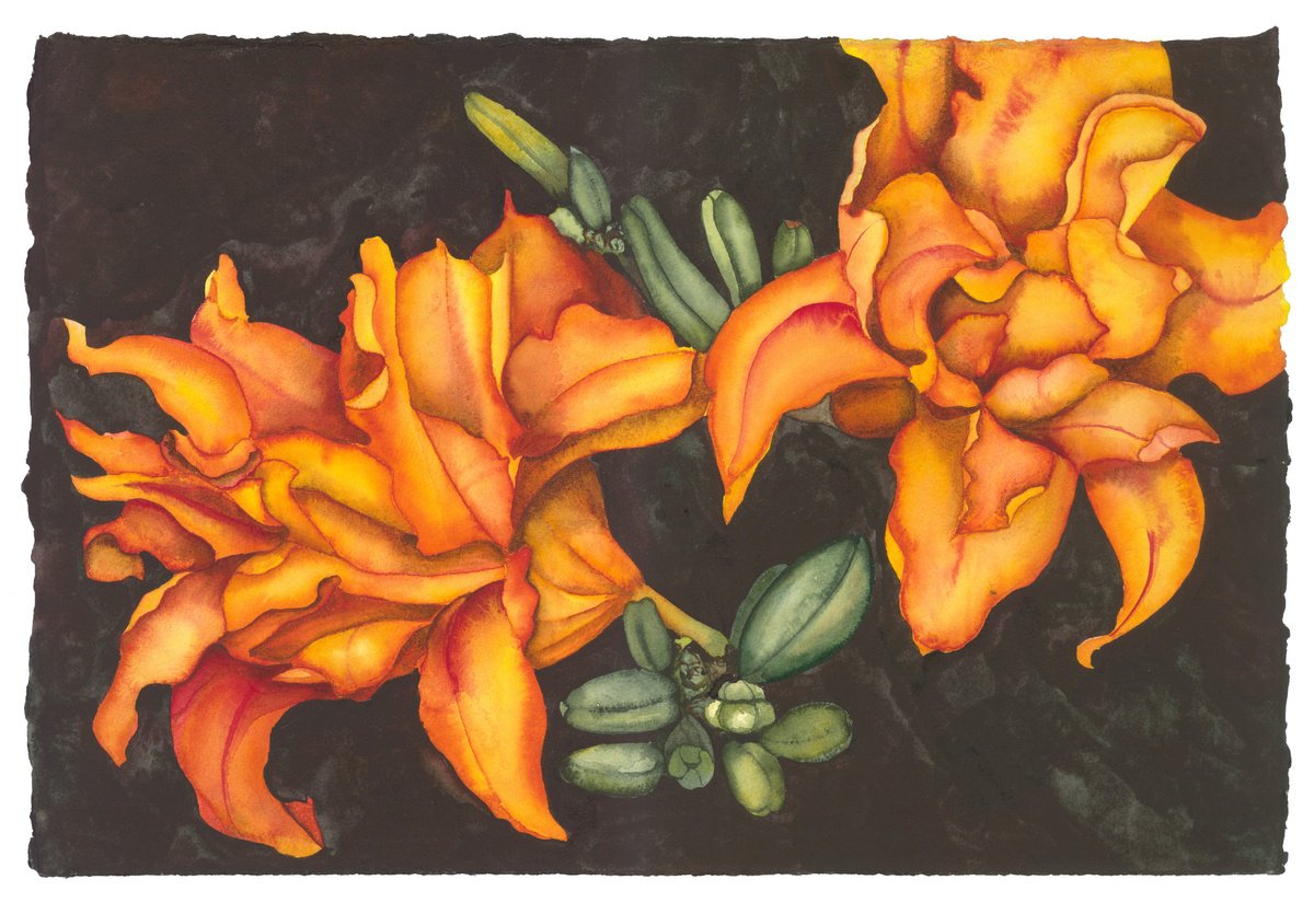 Surrealistic Botanical Watercolour By Mary Lyn Gough, 15 X 22", Day Dreams, Original Artwork