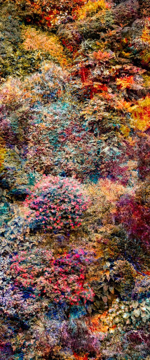 Wall of Nature XXIX (Framed) by Viet Ha Tran