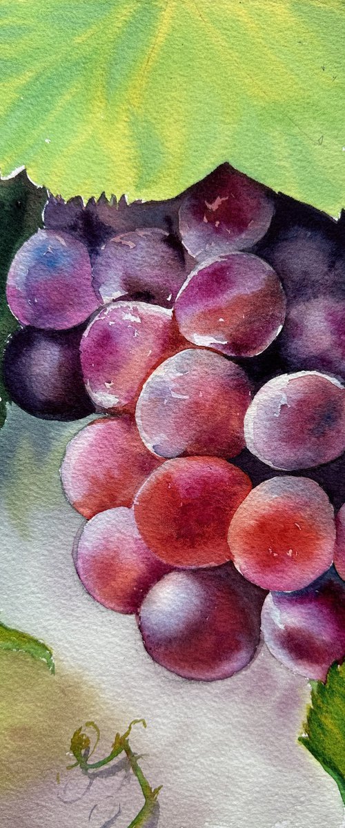 Juicy grape by Oleksandra Padushyna