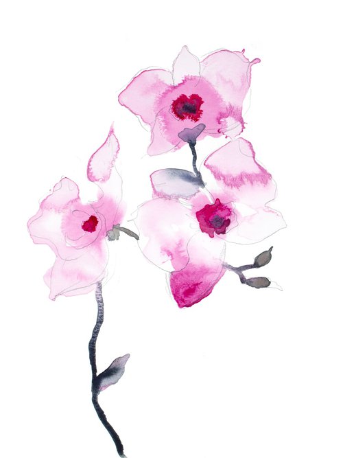 Orchid No. 20 by Elizabeth Becker