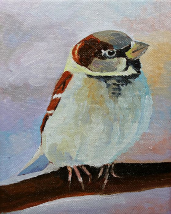 Irish Sparrow #2