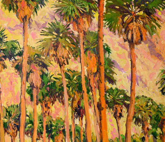 Palm Springs, Landscape