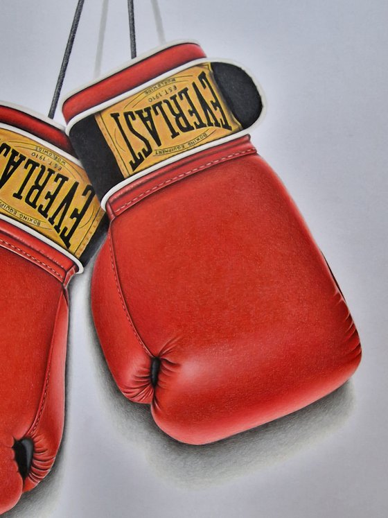 So You Want To Be A Boxer
