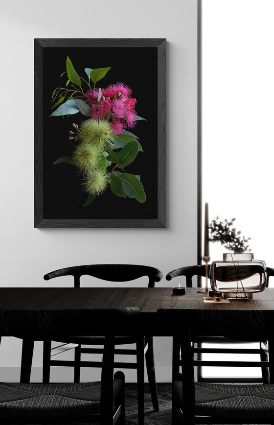 Pink Corymbia and Yellow Macrandra