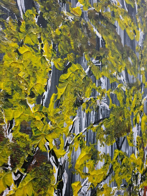 Two Birches