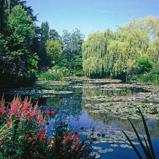 Summer Water Garden at Giverny