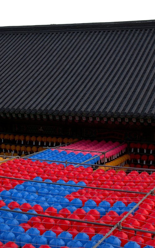 A Thousand Wishes in Bloom by sangwon jeon