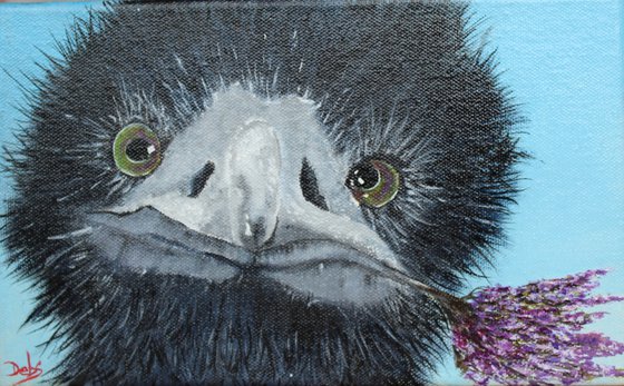 Derek the Cheeky Chappie Emu.