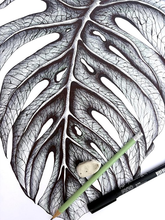 SINGLE MONSTERA LEAF