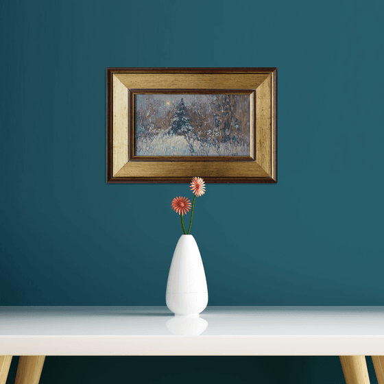 A spruce on a winter boulevard at night