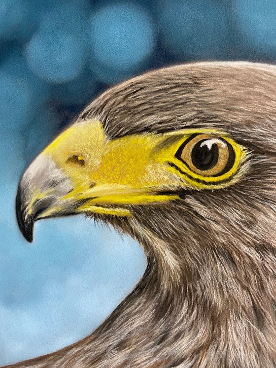 Golden eagle