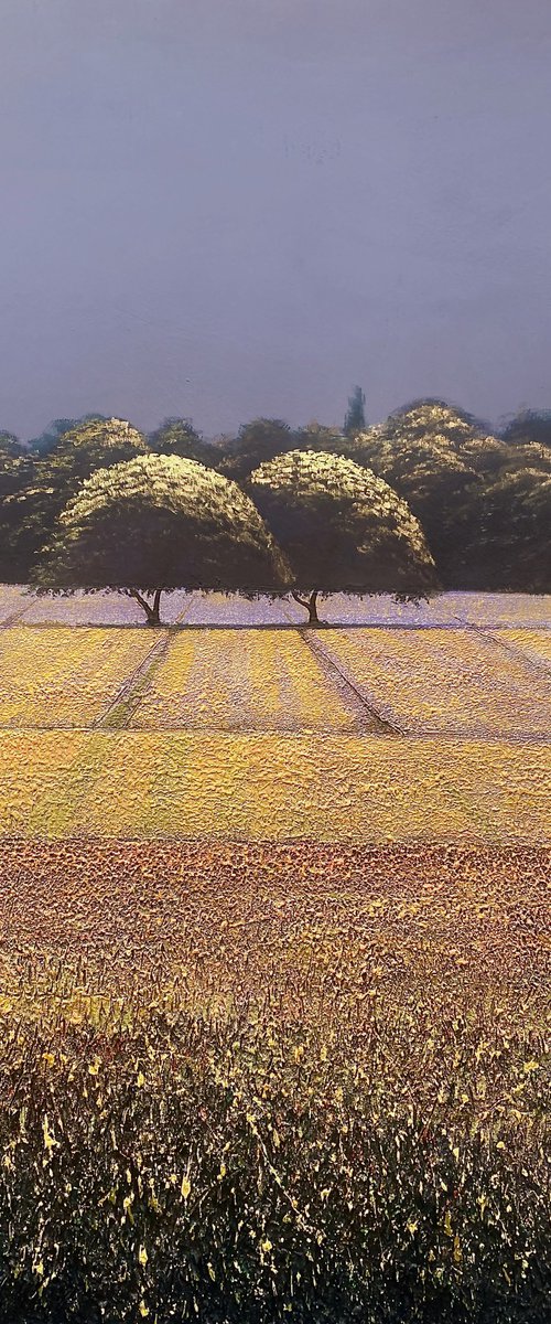 Vibration of Silence Lavender Fields by Simon Jones