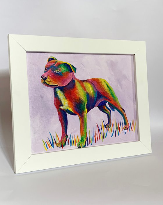 Rainbow Staffie