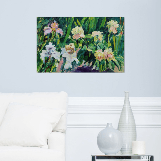 Peonies and irises in a garden