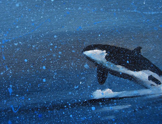 Orca breach. Cold water.