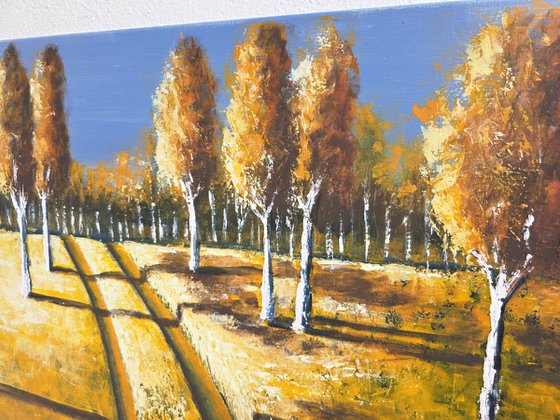 Long Shadows II
