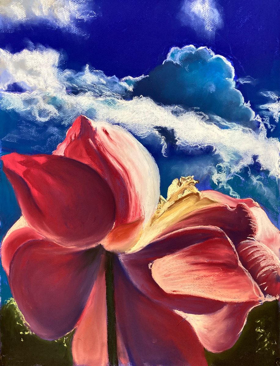 Cloud lotus by John Cottee