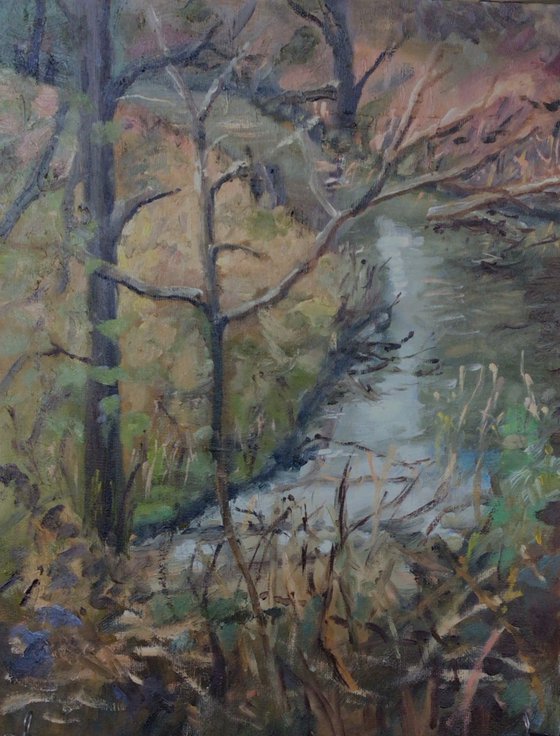 February in the forest
